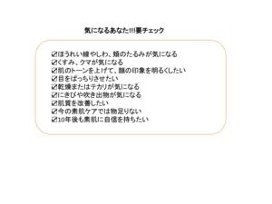 チェックリスト